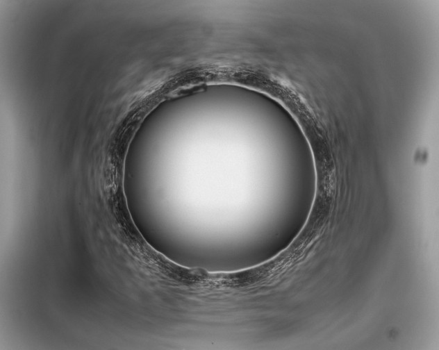 X0000099461253200805091520
