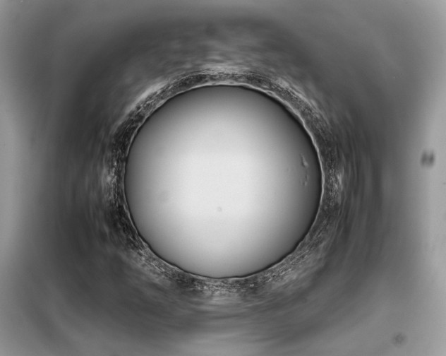 X0000099461254200805091520
