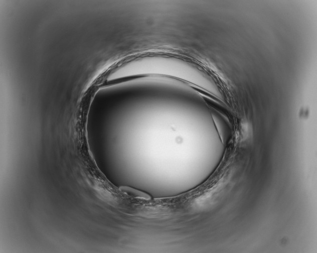 X0000099461256200805091520