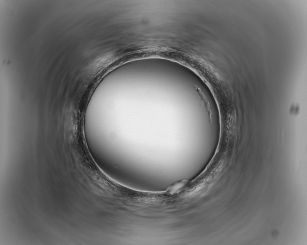 X0000099461257200805091520