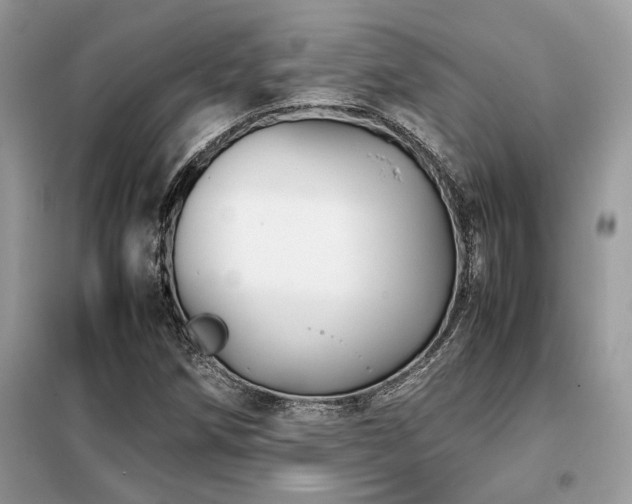 X0000099461258200805091520