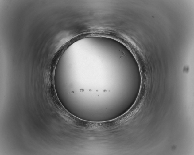 X0000099461259200805091520