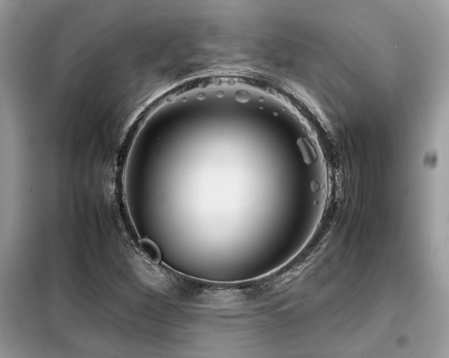 X0000099461260200805091520