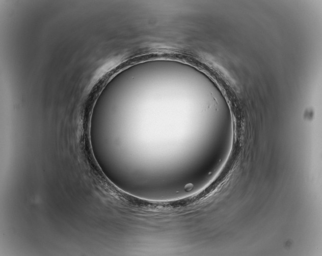 X0000099461261200805091520