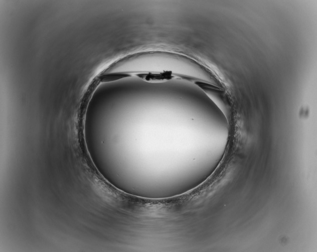X0000099461264200805091520