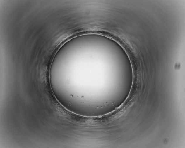 X0000099461265200805091520