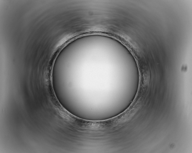 X0000099461266200805091520