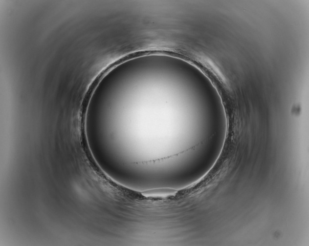 X0000099461268200805091520