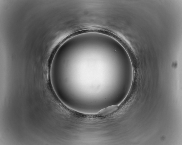 X0000099461269200805091520