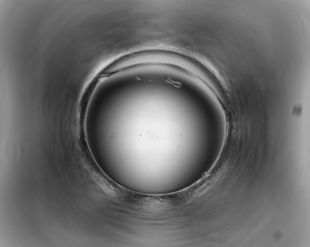 X0000099461270200805091520