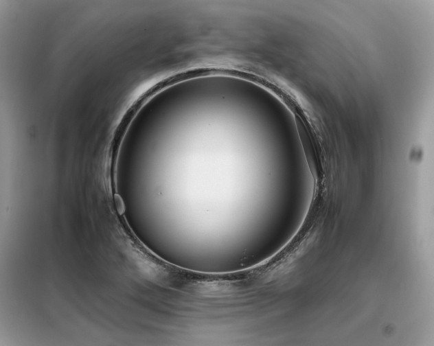 X0000099461272200805091520