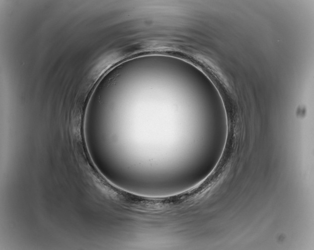 X0000099461273200805091520
