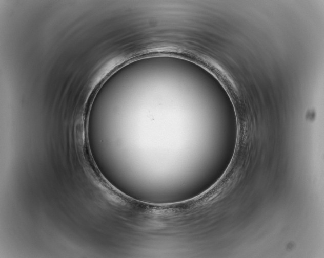 X0000099461274200805091520