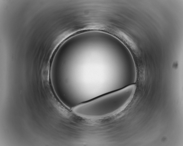 X0000099461276200805091520