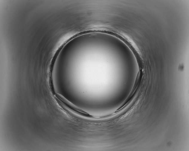 X0000099461277200805091520