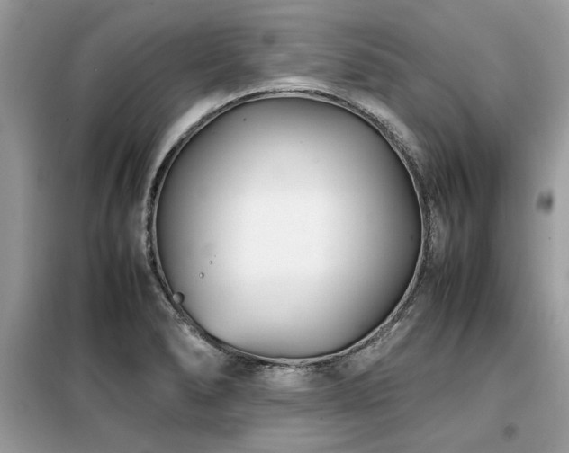 X0000099461278200805091520