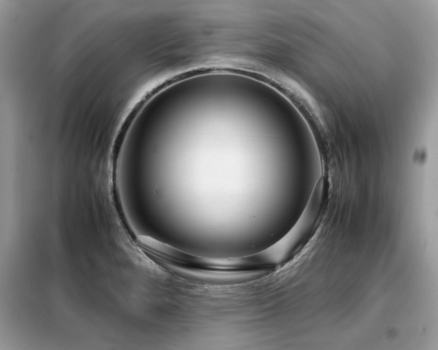 X0000099461280200805091520