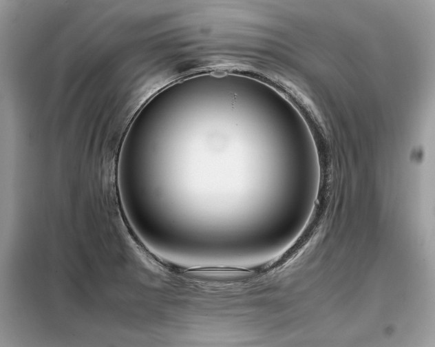 X0000099461281200805091520