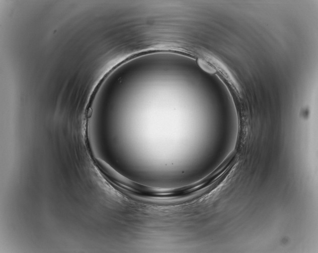 X0000099461284200805091520