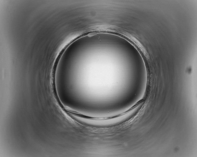 X0000099461285200805091520