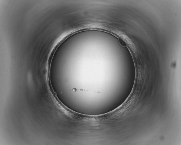 X0000099461286200805091520