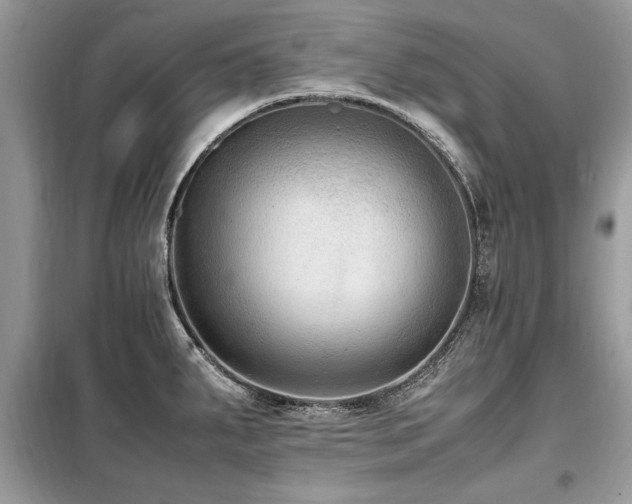 X0000099461287200805091520