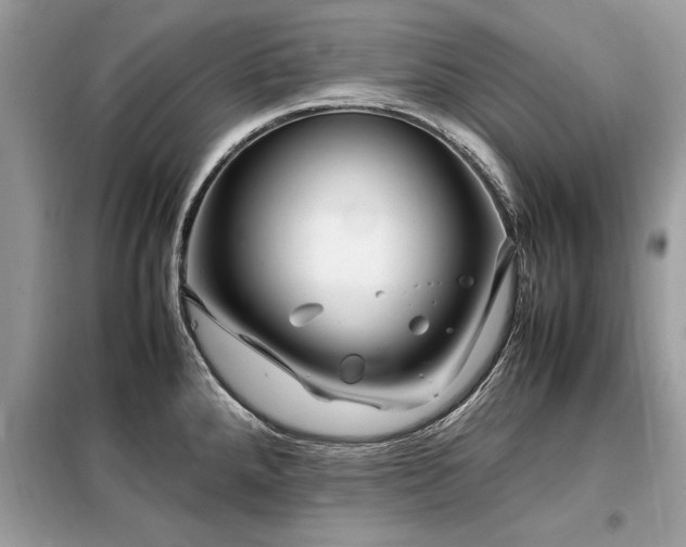 X0000099461288200805091520