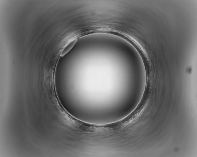 X0000099461289200805091520