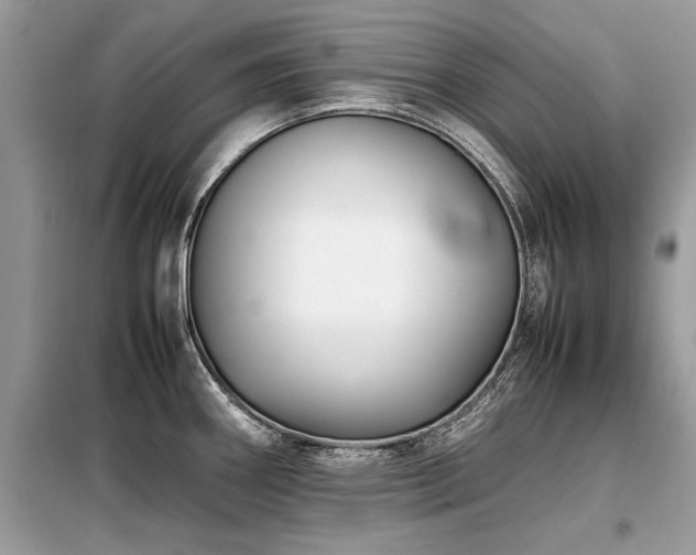 X0000099461290200805091520