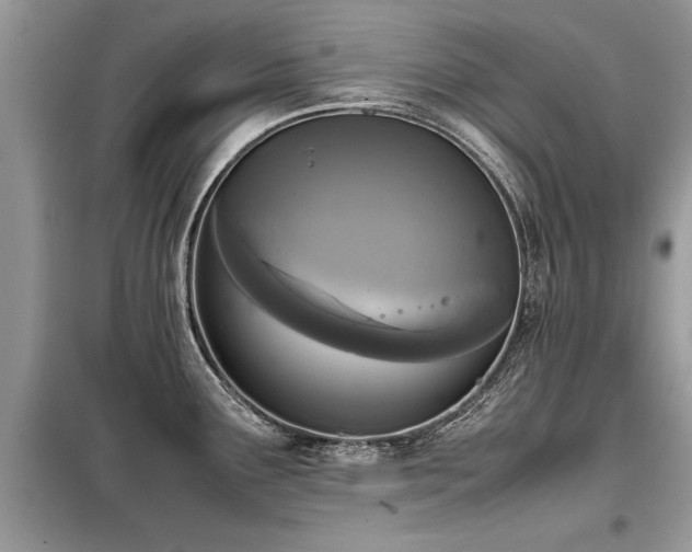 X0000099461291200805091520