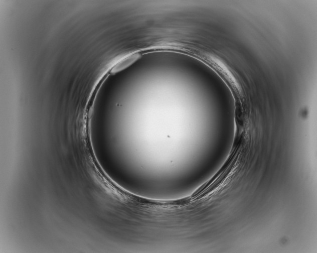 X0000099461292200805091519
