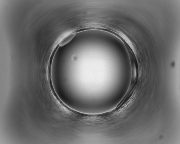 X0000099461293200805091519