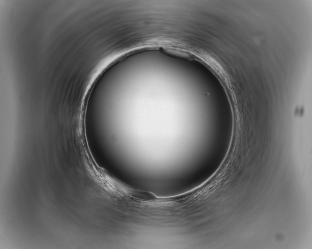 X0000099461296200805091519