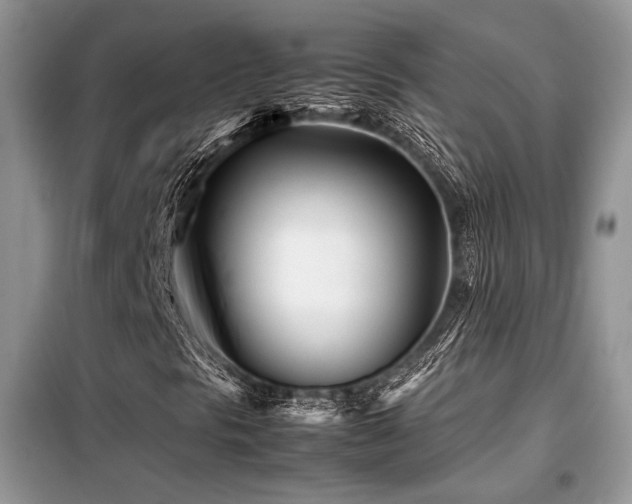 X0000099461297200805091519