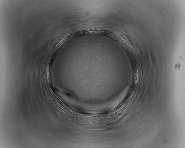 X0000099461298200805091519