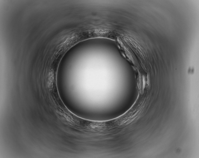 X0000099461299200805091519