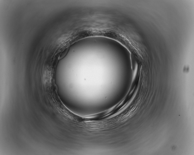 X0000099461300200805091519