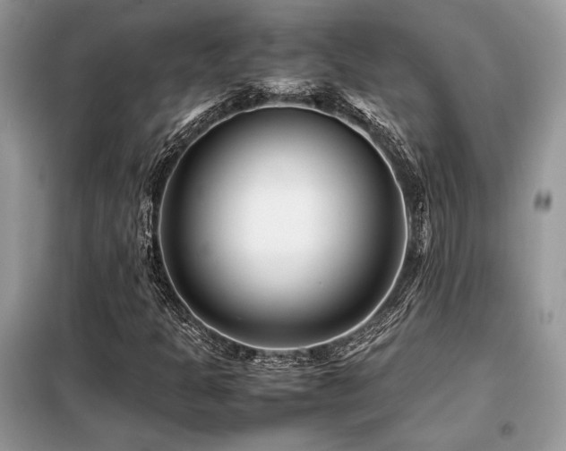 X0000099461301200805091519