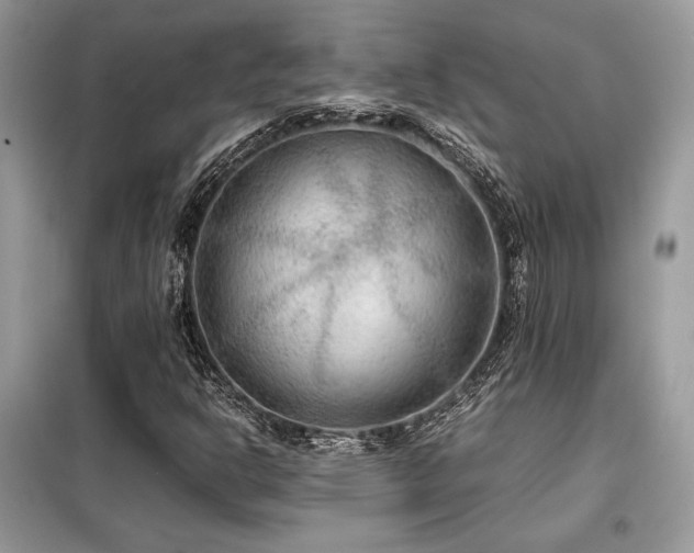 X0000099461302200805091519