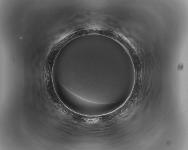 X0000099461303200805091519