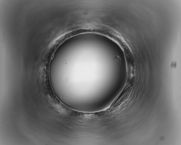 X0000099461304200805091519