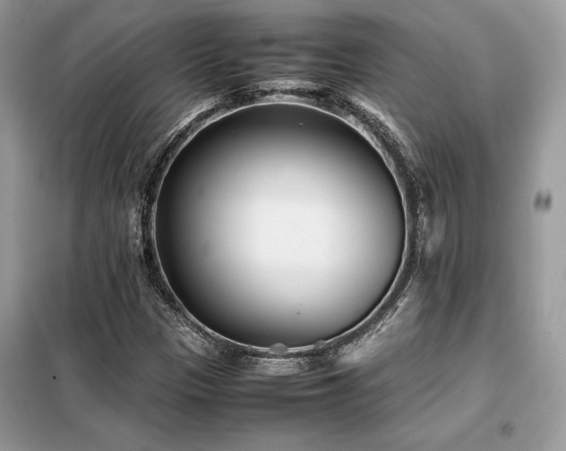 X0000099461305200805091519