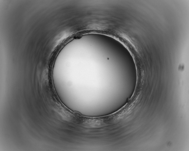 X0000099461307200805091519