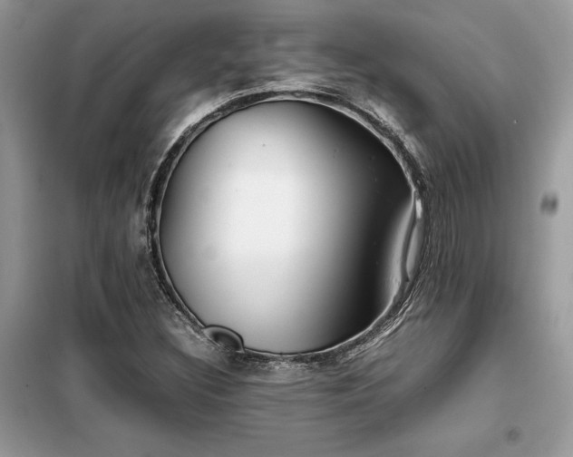X0000099461308200805091519