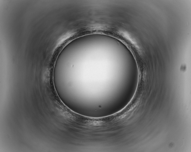 X0000099461309200805091519