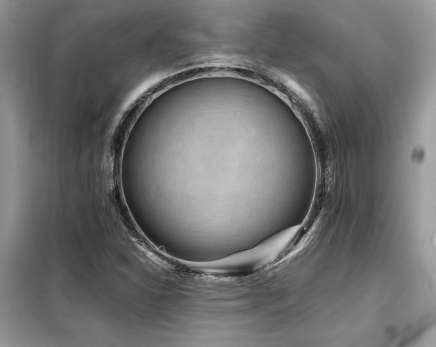 X0000099461310200805091519