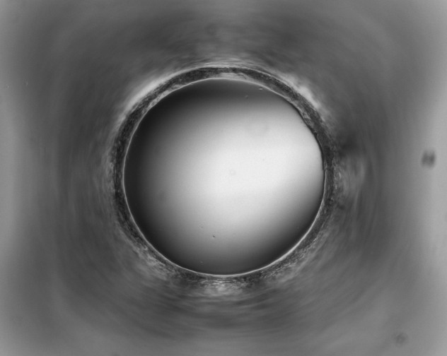 X0000099461311200805091519