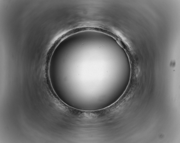 X0000099461312200805091519