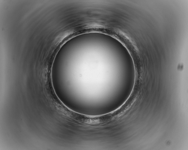 X0000099461313200805091519
