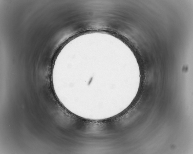 X0000099461314200805091519